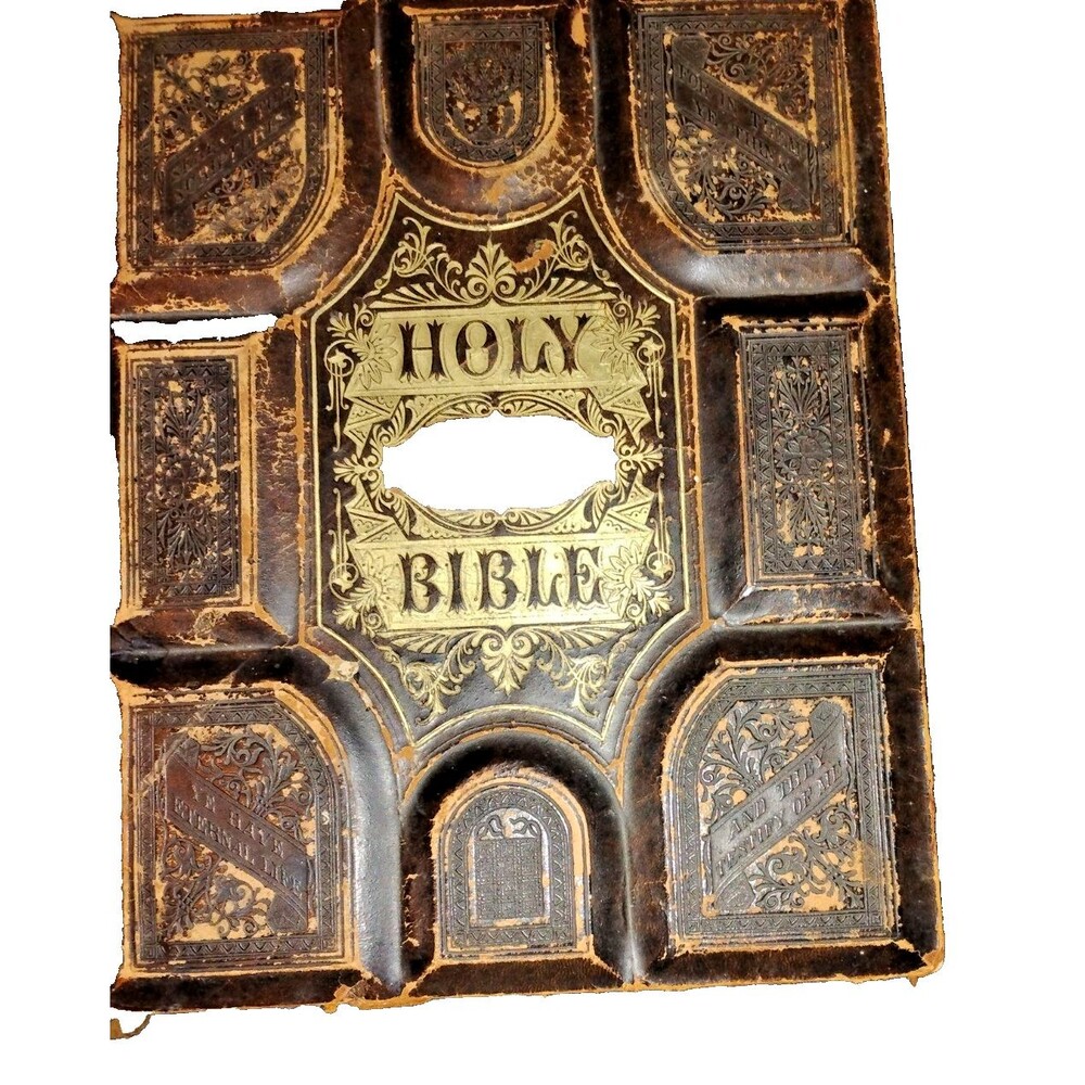 National Publishing Co Illustrated Family Bible Leather Apocrypha Illust Green